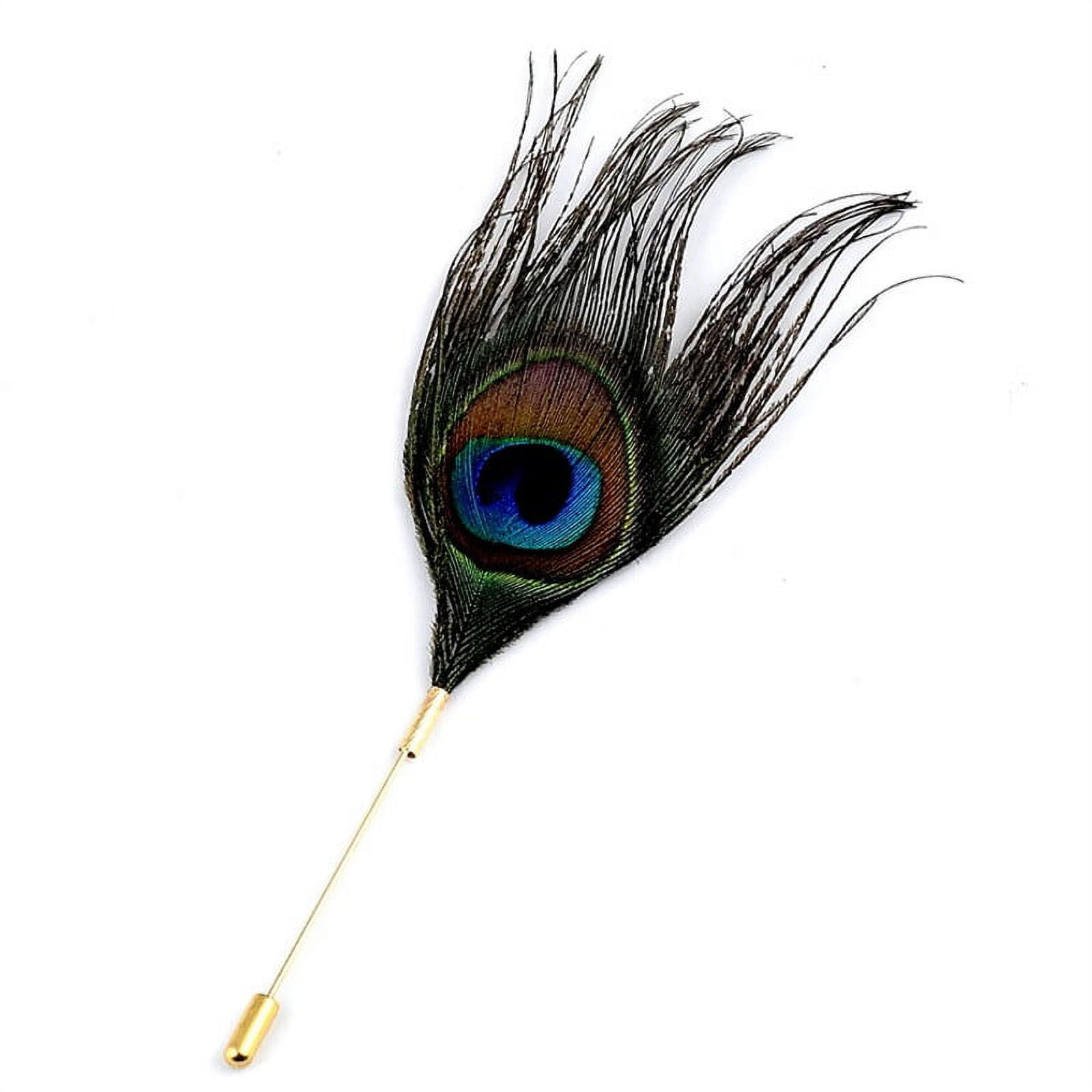 Peacock Feather  New Moon Beginnings