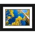 thumbnail image 1 of Ostrowitz, Mallorie 32x23 Black Ornate Wood Framed with Double Matting Museum Art Print Titled - Aspens in autumn, 1 of 4