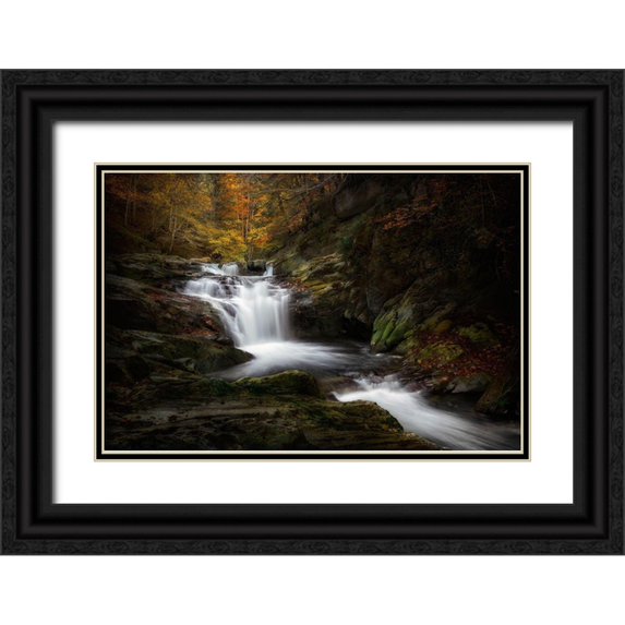 Osuna, Fran 32x23 Black Ornate Wood Framed with Double Matting Museum Art Print Titled - Irati Jungle