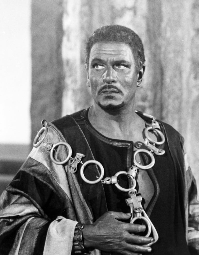 Othello Canvas Art - (16 x 20)