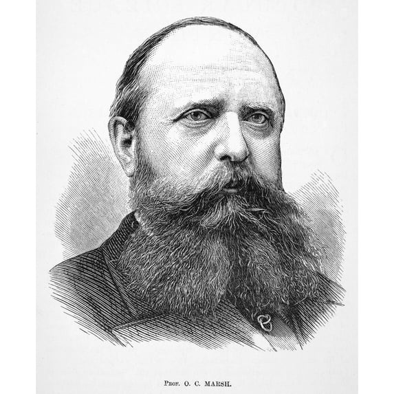 Othniel Charles Marsh N(1831-1899). American Paleontologist. Wood Engraving American 1874. Poster Print by