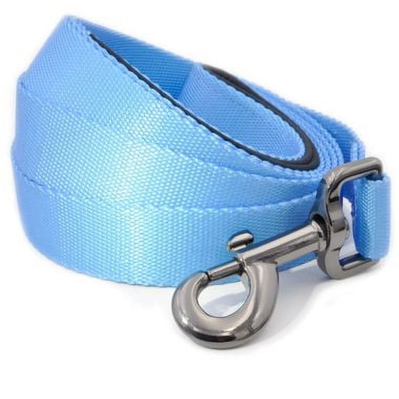 Otis Claude Nylon Dog Leash Large Princess Blue