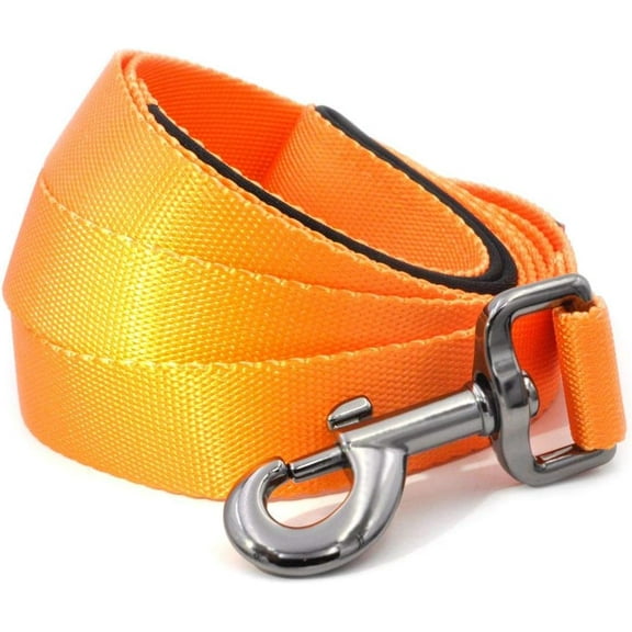 Otis & Claude Padded Handle Nylon Dog Leash for Small Breed Dogs, Safety Training Leash Walking Lead & Advanced Easy Snap Hook, Turmeric Color, 5-ft Long