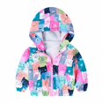 thumbnail image 1 of Otqutp Children Warm Winter Outwear Toddler Outdoor Breathable Cartoon Printed Zipper Jacket Colorblocking Punching Jacket Kids Jacket Windbreaker(D,3-4 Years), 1 of 2