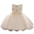 thumbnail image 1 of Otqutp Formal Sundress for Baby Girls Kids Toddler Baby Girls Spring Christmas Solid Tulle Ruffle Sleeveless Princess Dress for 0 to 24 Months(Beige,12-18 Months), 1 of 8