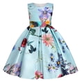 thumbnail image 1 of Otqutp Swing Dress for Toddler Kids Girls Spring Summer Print Floral Ruffle Sleeveless Princess Dress for 2 to 10 Years, 1 of 7
