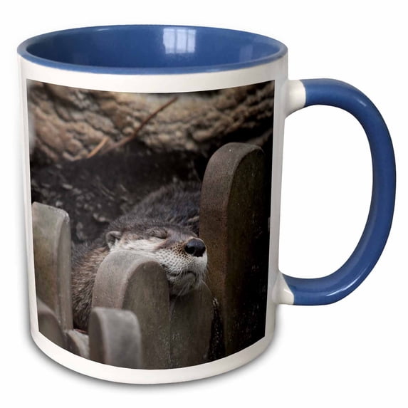 3drose, Otter Cute Sleeping on Fence, 11oz Two-tone Blue Mug