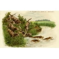 thumbnail image 1 of Otter Hunting Poster Print By Mary Evans Picture Librarypeter & Dawn Cope Collection (36 X 24), 1 of 4