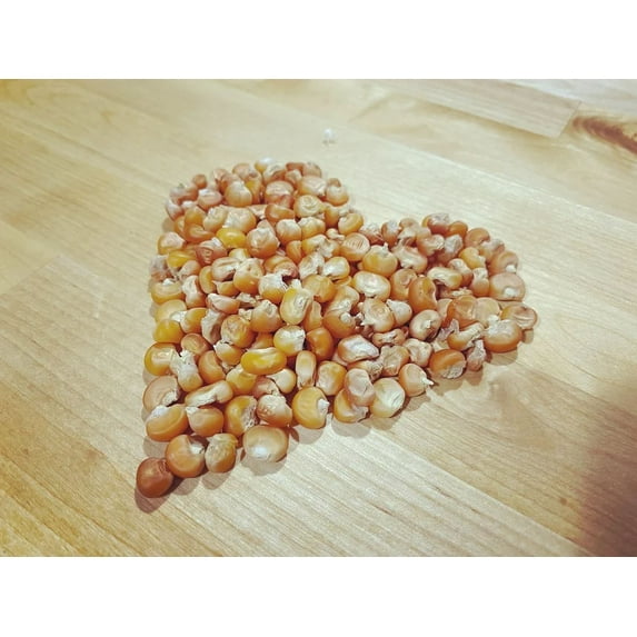 Otto File Orange Polenta Italian Heirloom Flint Corn Eight Row