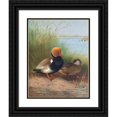 thumbnail image 1 of Otto Murray Dixon 12x14 Black Ornate Wood Framed Double Matted Museum Art Print Titled: Red-Crested Pochard (1913), 1 of 5