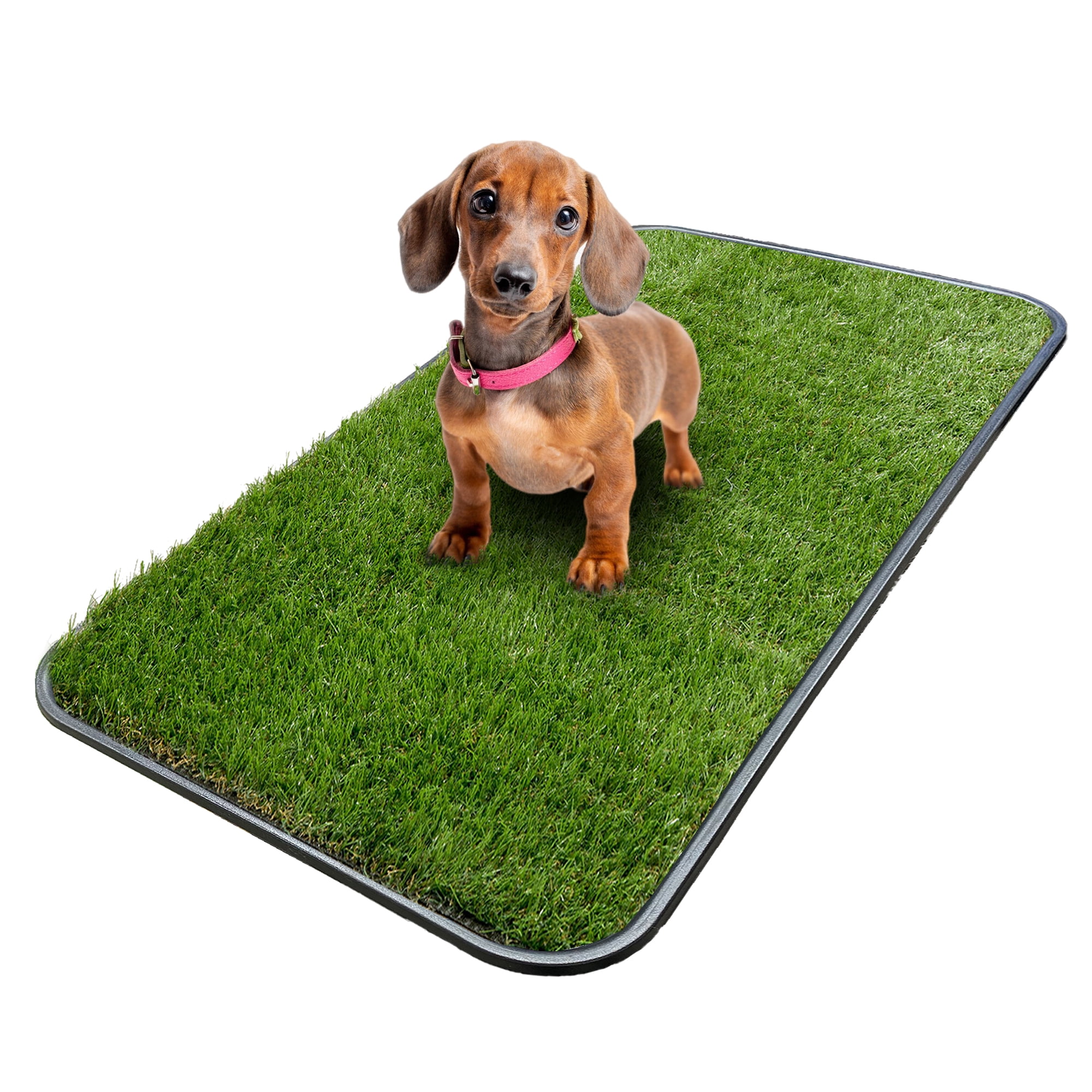 Ottomanson Dog Grass Pad with Tray, Reusable Artificial Grass Puppy Pee Pad for Pet Potty Training, 15" x 30"