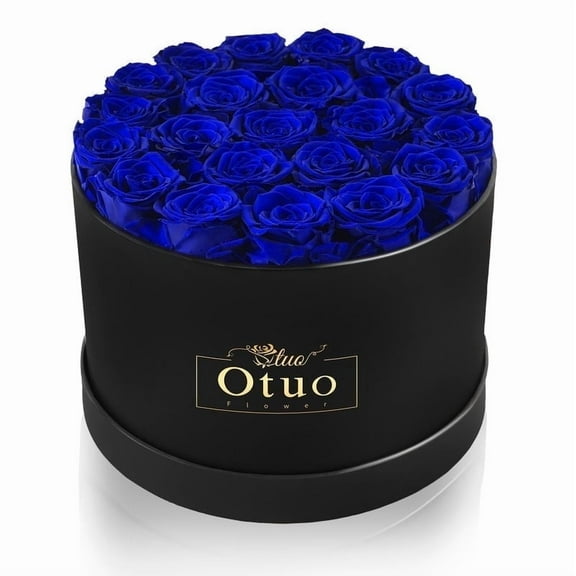 Otuo 21-Piece Preserved Roses in Gift Box, Real Eternal Rose Flower, Valentines Day Gifts for Her, Girlfriend, Mom, Women, Wife, Birthday Anniversary and Wedding (Blue)