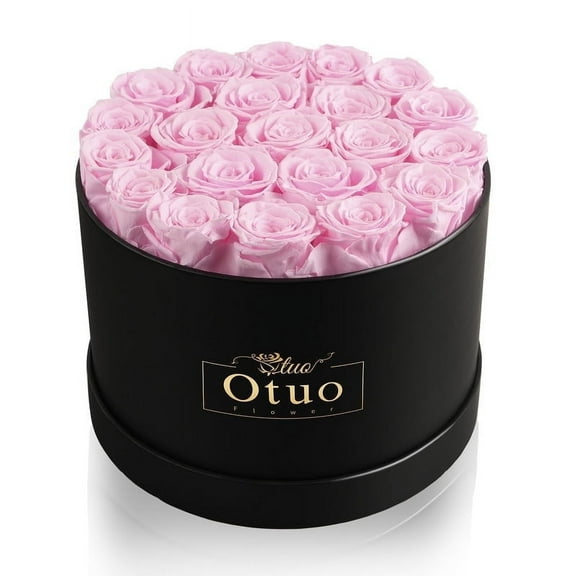 Otuo 21-Piece Preserved Roses in Gift Box, Real Eternal Rose Flower, Valentines Day Gifts for Her, Girlfriend, Mom, Women, Wife, Birthday Anniversary and Wedding (Pink)
