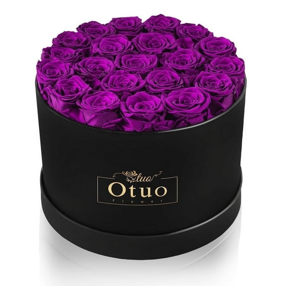 Otuo 21-Piece Preserved Roses in Gift Box, Real Eternal Rose Flower, Valentines Day Gifts for Her, Girlfriend, Mom, Women, Wife, Birthday Anniversary and Wedding (Purple)