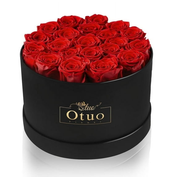 Otuo 21-Piece Preserved Roses in Gift Box, Real Eternal Rose Flower, Valentines Day Gifts for Her, Girlfriend, Mom, Women, Wife, Birthday Anniversary and Wedding (Red)