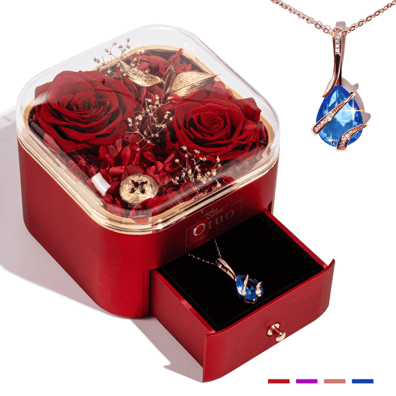 Otuo Preserved Real Rose Box with Necklace, Eternal Flowers Gifts for Girlfriend, Women, Mom, Wife, Gifts Idea on Christmas, Valentine's Day, Mother's Day, Birthday, Anniversary, Thanksgiving(Red)