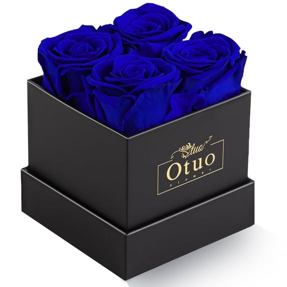 Otuo Preserved Roses in Gift Box, Real Eternal Rose Flower Gifts for Girlfriend, Mom, Women, Wife, Birthday Anniversary and Valentine's Day (Blue)