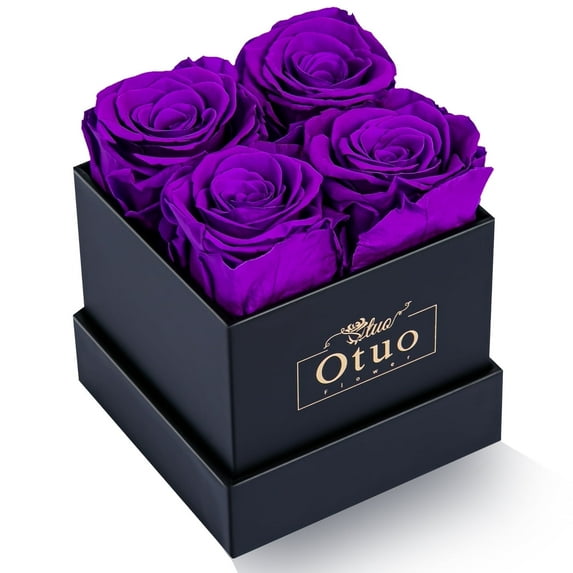 Otuo Preserved Roses in Gift Box, Real Eternal Rose Flower Gifts for Girlfriend, Mom, Women, Wife, Birthday Anniversary and Valentine's Day (Purple)