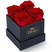 Otuo Preserved Roses in Gift Box, Real Eternal Rose Flower Gifts for Girlfriend, Mom, Women, Wife, Birthday Anniversary and Valentine's Day (Red)