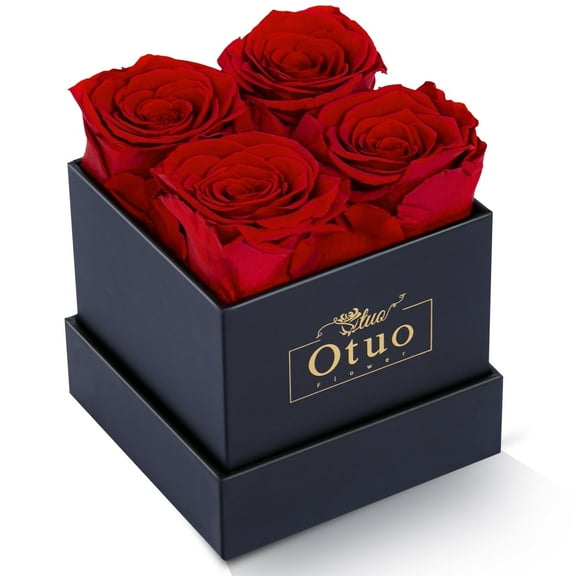 Otuo Preserved Roses in Gift Box, Real Eternal Rose Flower Gifts for Girlfriend, Mom, Women, Wife, Birthday Anniversary and Valentine's Day (Red)