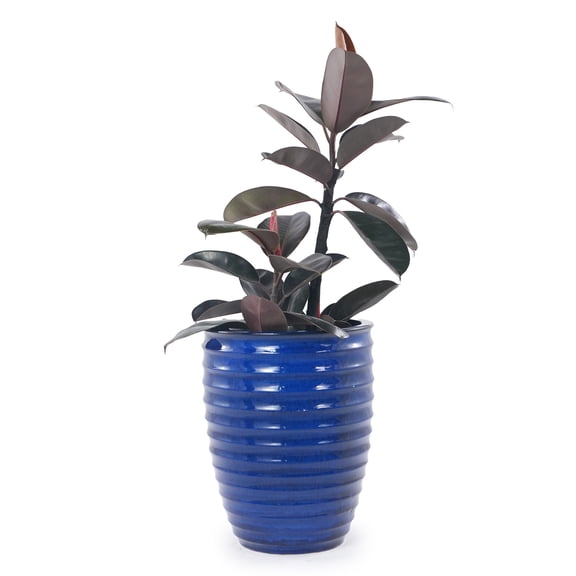 Oufan 1PC Handmade Ceramic Planter with Horizontal Ripples Pattern & Drainage Hole, Breathable Porous Clay Plant Pot for Monstera, Fiddle Leaf Fig