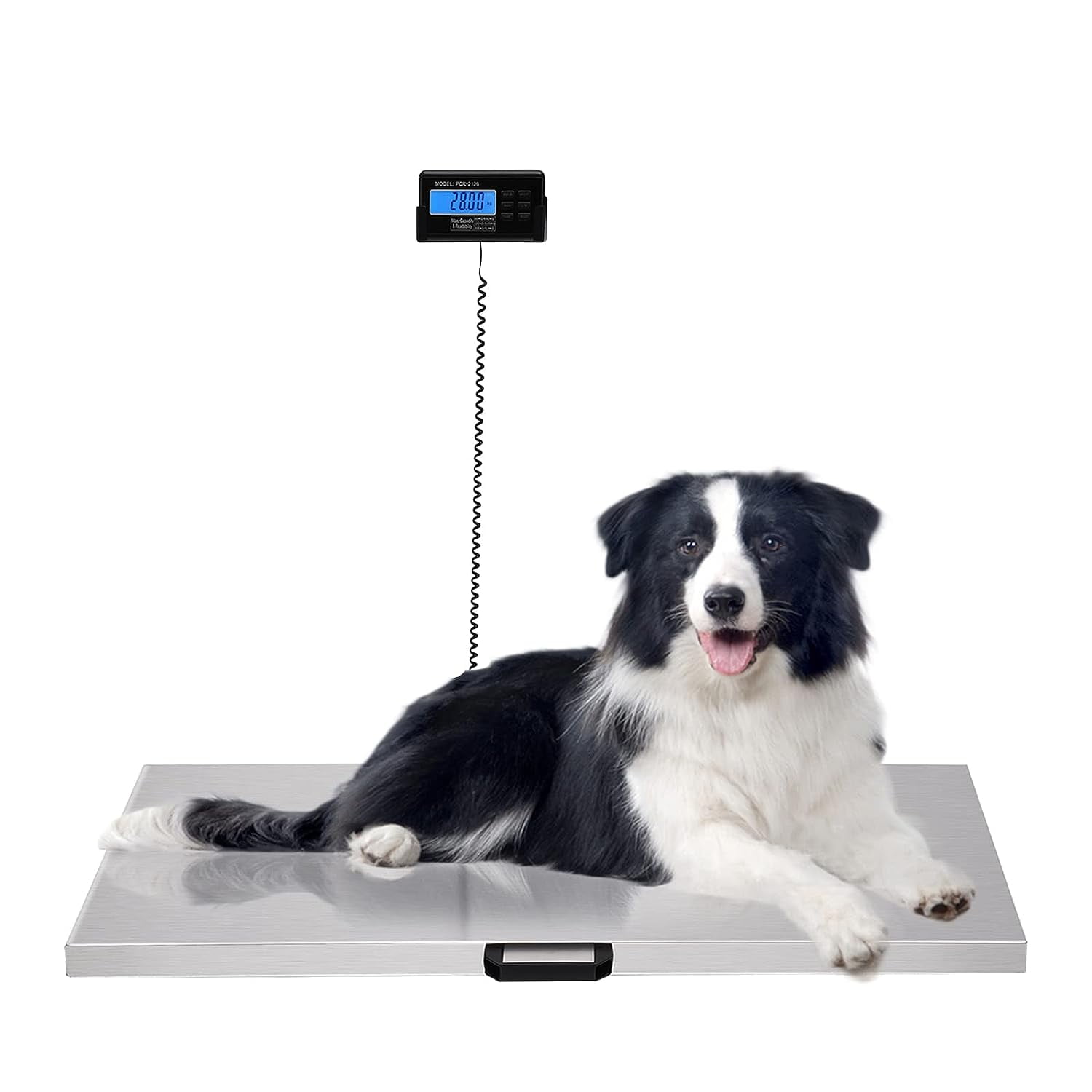 https://i5.walmartimages.com/seo/Oukaning-440lbs-Digital-Livestock-Scale-Large-Pet-Vet-Scale-Stainless-Steel-Platform-Electronic-Postal-Shipping-Scale-Heavy-Duty_d7a13fdd-85ab-479c-87a5-1812422f7c3c.83a95a659b3e9a7e7561baeb986944ad.jpeg