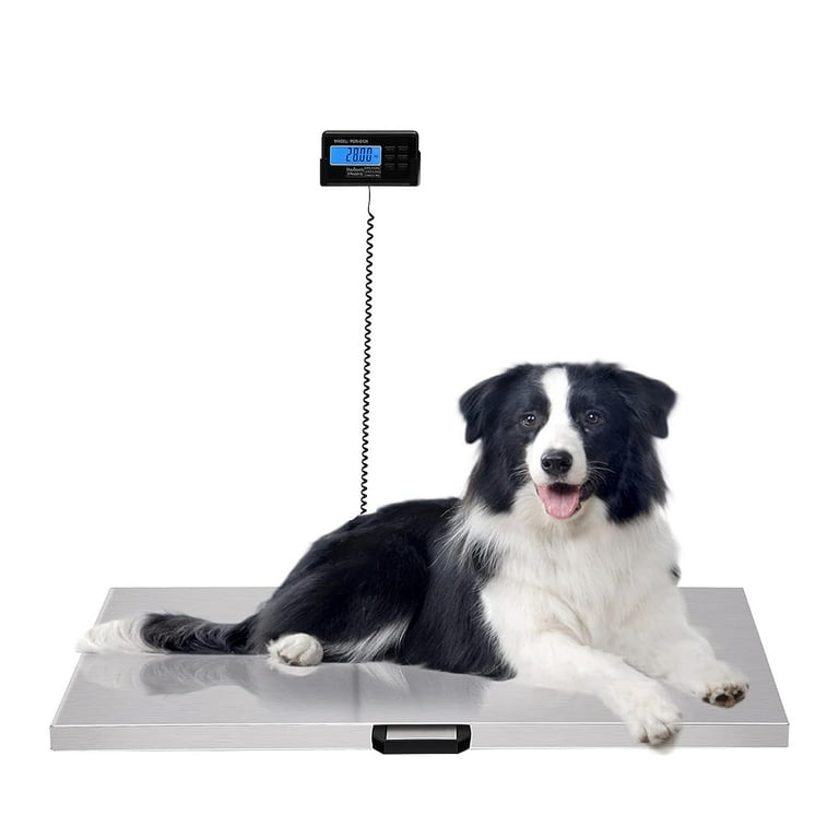 Veterinary Scales  Small Animals Veterinary Scales