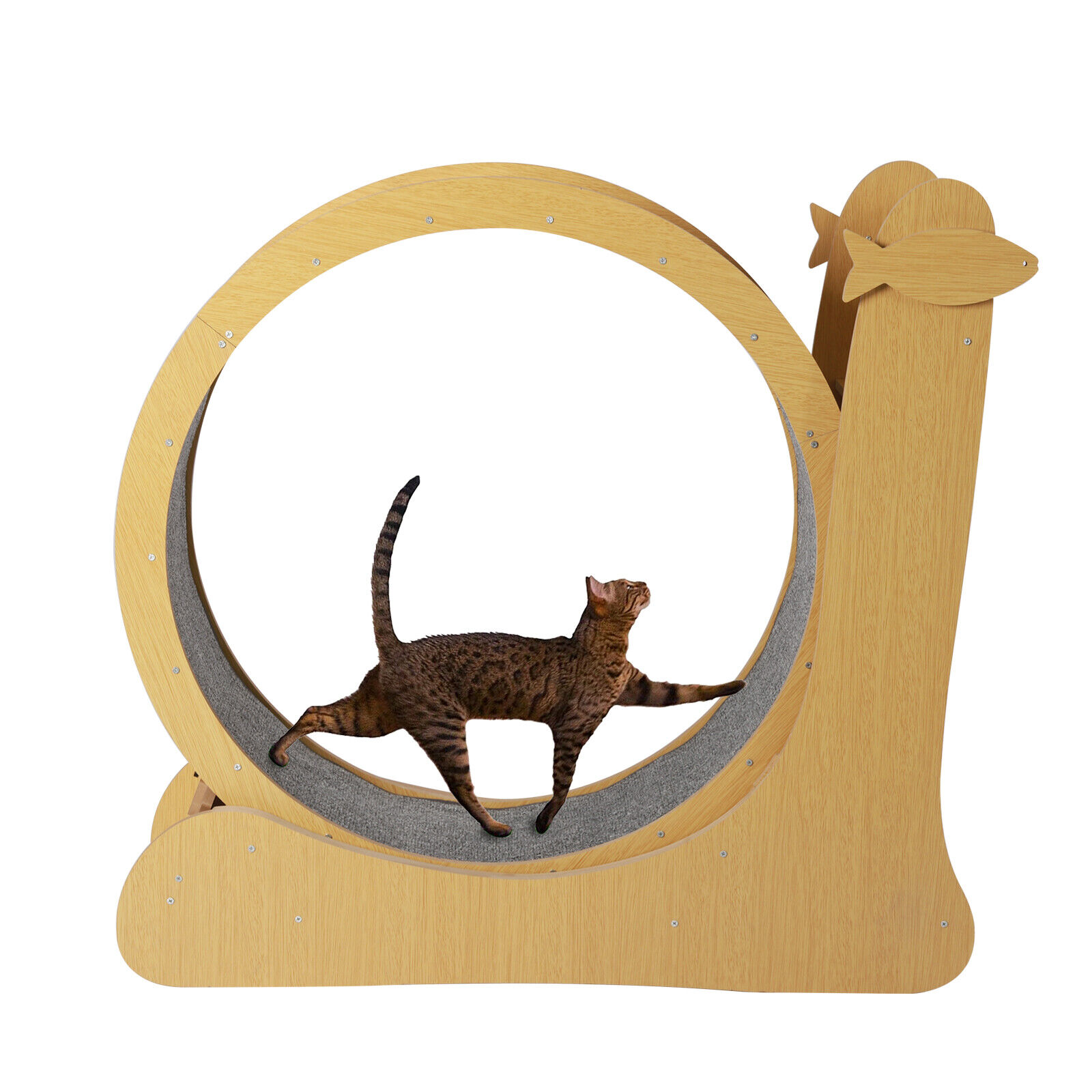 Oukaning Cat Exercise Wheel Kitty Running Training Treadmill Toy Pet