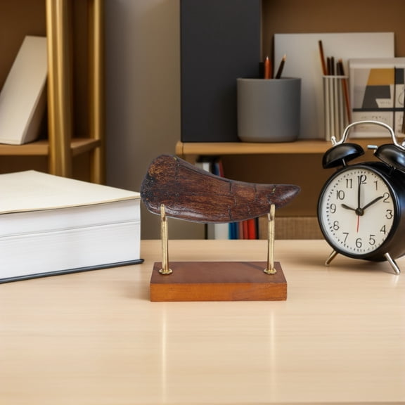 Oulii Compact Resin Shark Tooth Model with Vintage Design Perfect for Home and Office Display