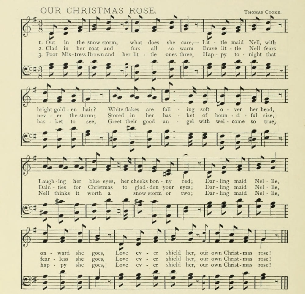 Our Christmas Rose Christmas in Song 1891 Canvas Art -  (24 x 36)