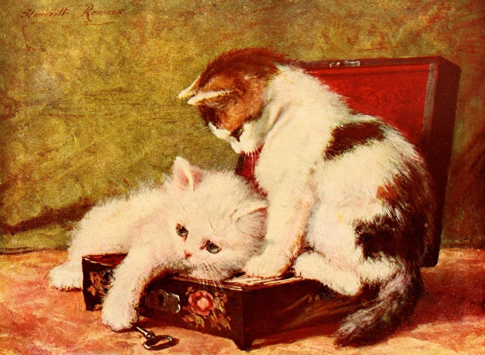 Our Domestic Animals 1907 Kittens in a box Canvas Art - Henriette Ronner-Knip (24 x 36)