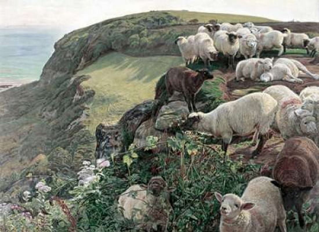 Our English Coasts - Strayed Sheep Canvas Art - William Holman Hunt (18 x 24)