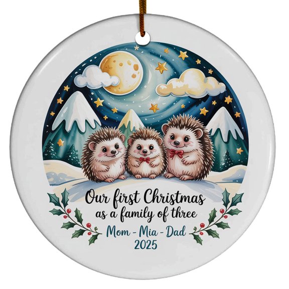 Our First Christmas As A Family Three Ornament Xmas 2025, Family 3 Hedgehog Christmas Ornament, Dad Mom Baby Hedgehog Christmas Ornament Gift