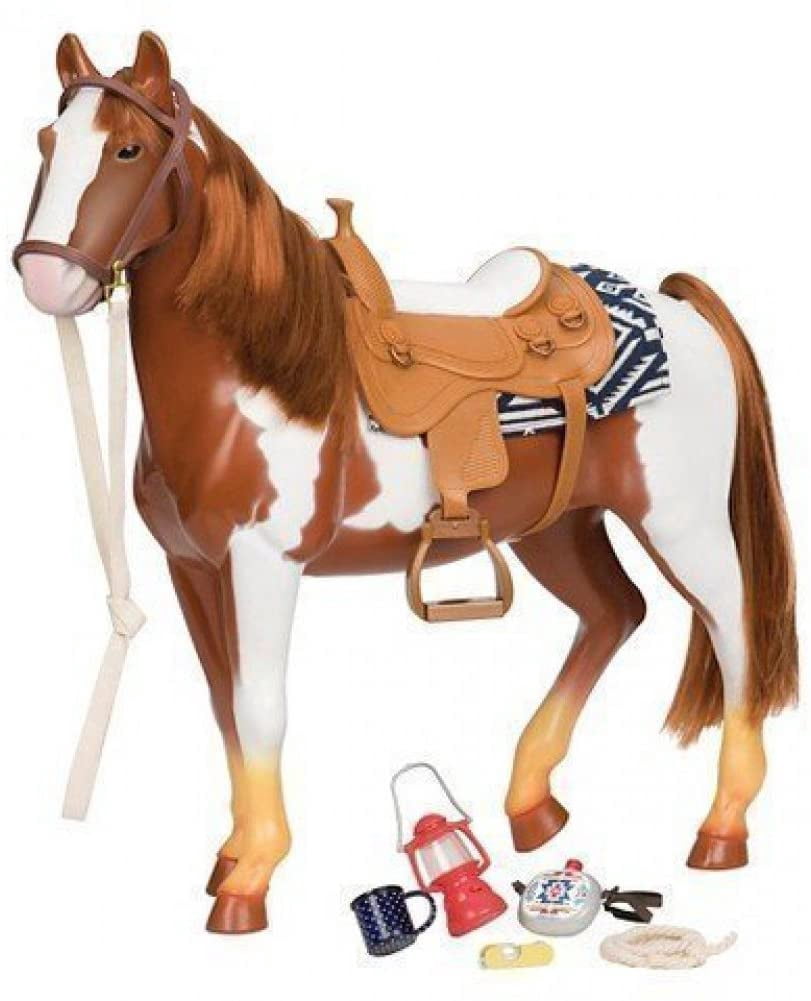 What is a Trail Rider Toy: Ultimate Guide for Adventure Fans