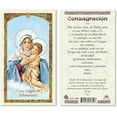 Our Lady of SCHOENSTATT Laminated Prayer Cards 25/PKG