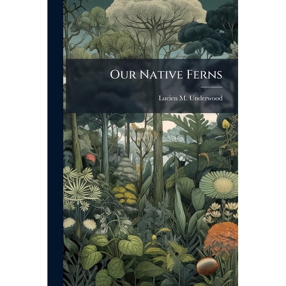 Our Native Ferns (Paperback)