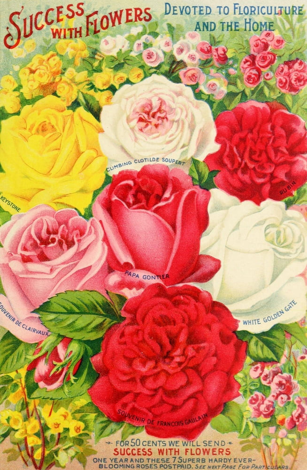 Our New Guide to Rose Culture 1895-1908 Success with Flowers Canvas Art - Unknown (24 x 36)