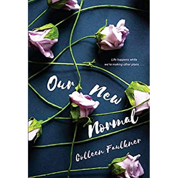 Pre-Owned Our New Normal (Paperback) 1496711572 9781496711571