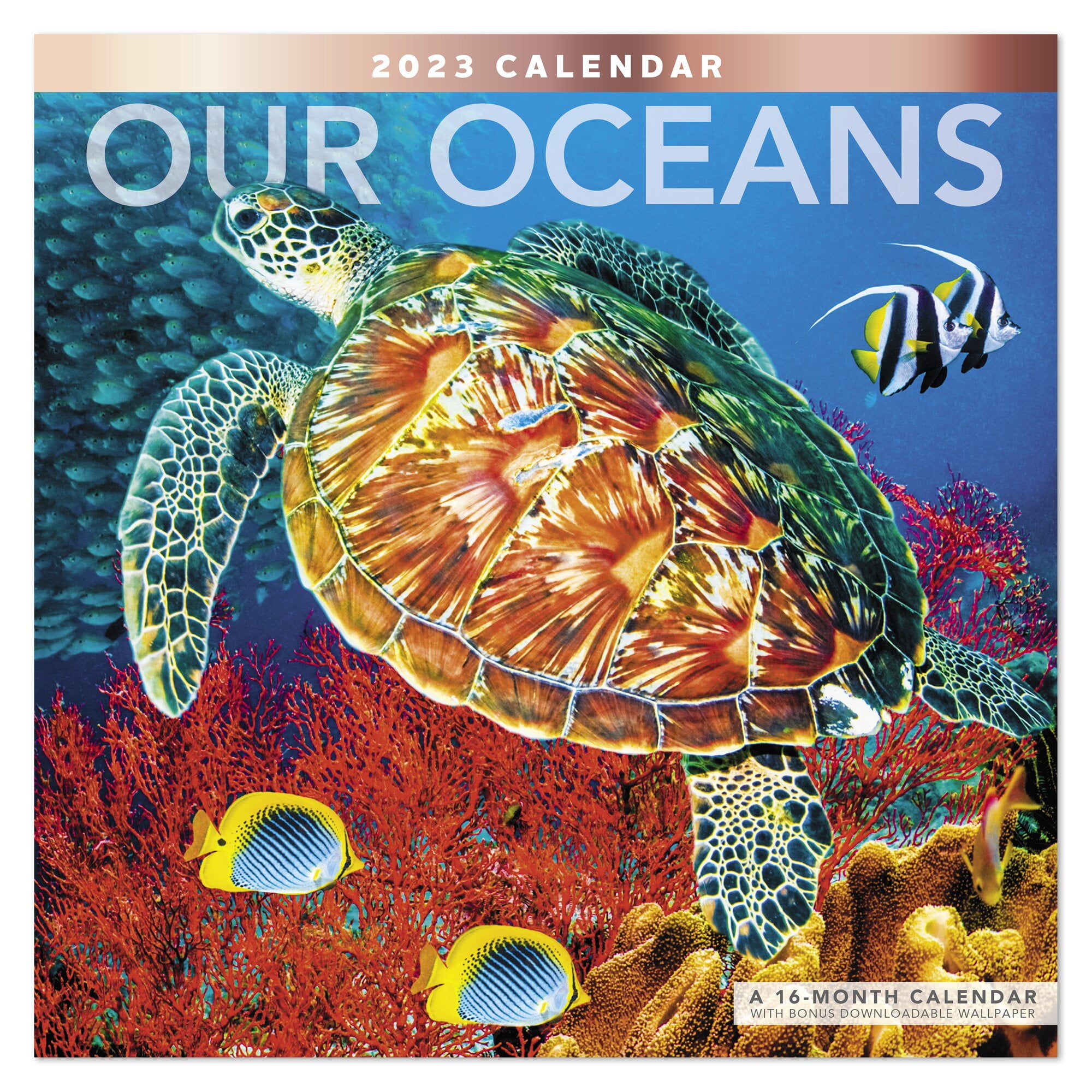 Our Oceans 2023 Monthly Wall Calendar 12 x 12 - Wall Calendars ...