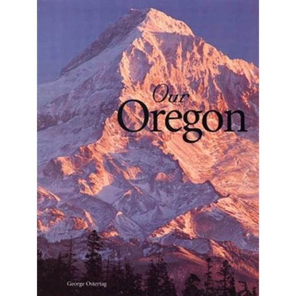 Pre-Owned YNGYFEA Protective and Stylish Rotation Stand Cover Case for Apple iPad Air 2 3 4 5 10.2 10 10th 9.7 11 2022 Mini 6 Pro 10.9 - Functional and Fashionable Tablet Accessories