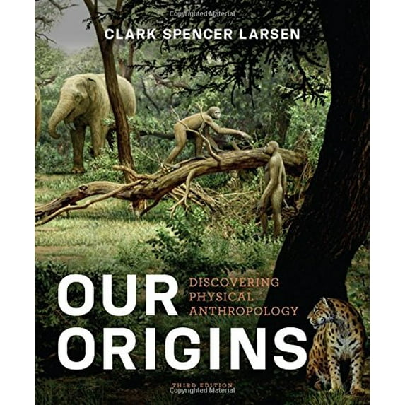 Pre-Owned Our Origins: Discovering Physical Anthropology (Third Edition)