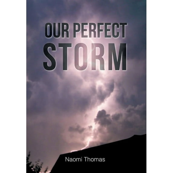 Our Perfect Storm (Hardcover)