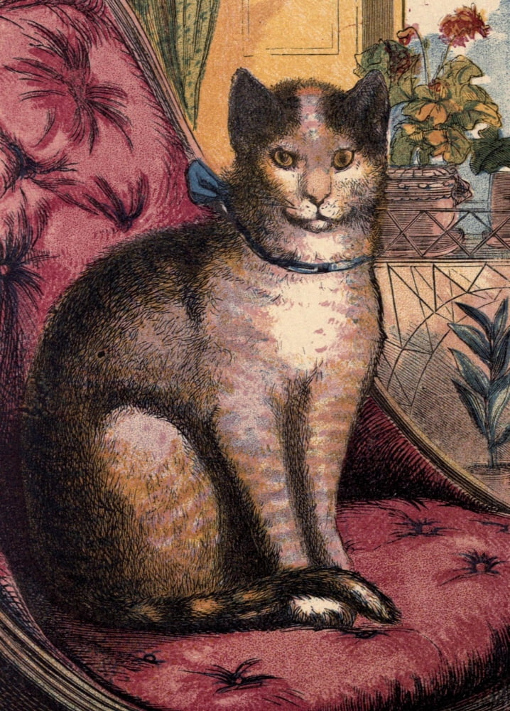 Our Pets 1865 Cat Canvas Art - Unknown (18 x 24)