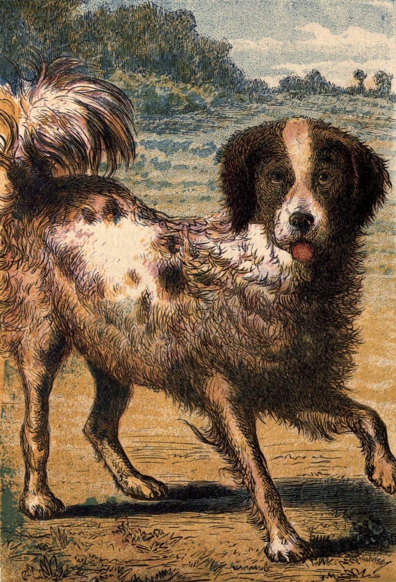 Our Pets 1865 Dog Canvas Art - Unknown (18 x 24)