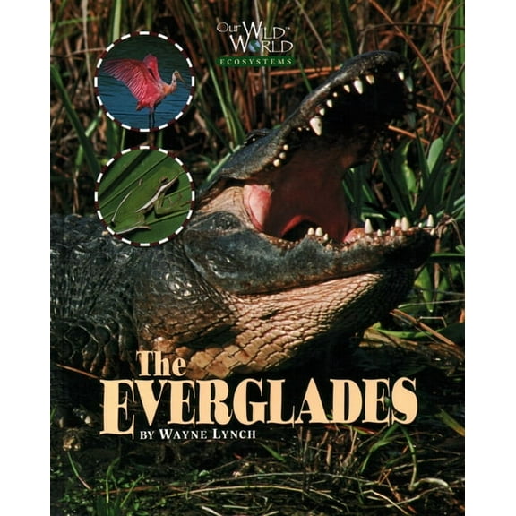 Our Wild World: Everglades (Hardcover)
