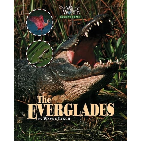 Pre-Owned Our Wild World: Everglades (Hardcover)