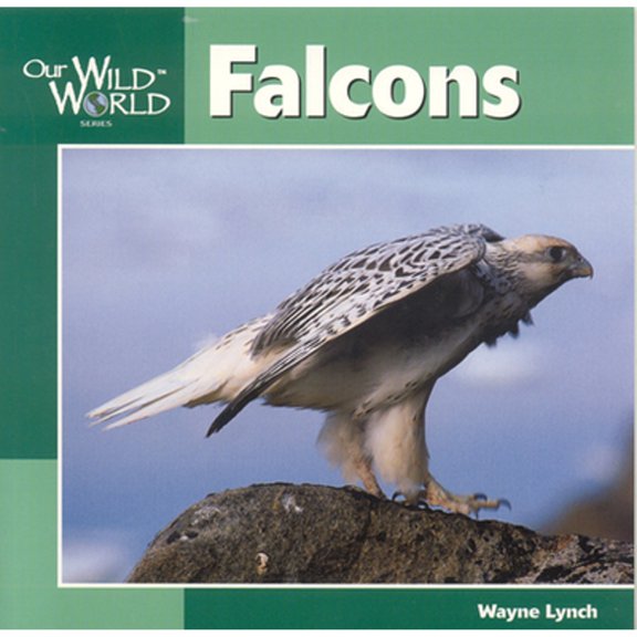 Pre-Owned Falcons (Paperback) 1559719125 9781559719124
