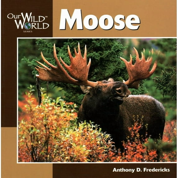 Our Wild World: Moose (Paperback)