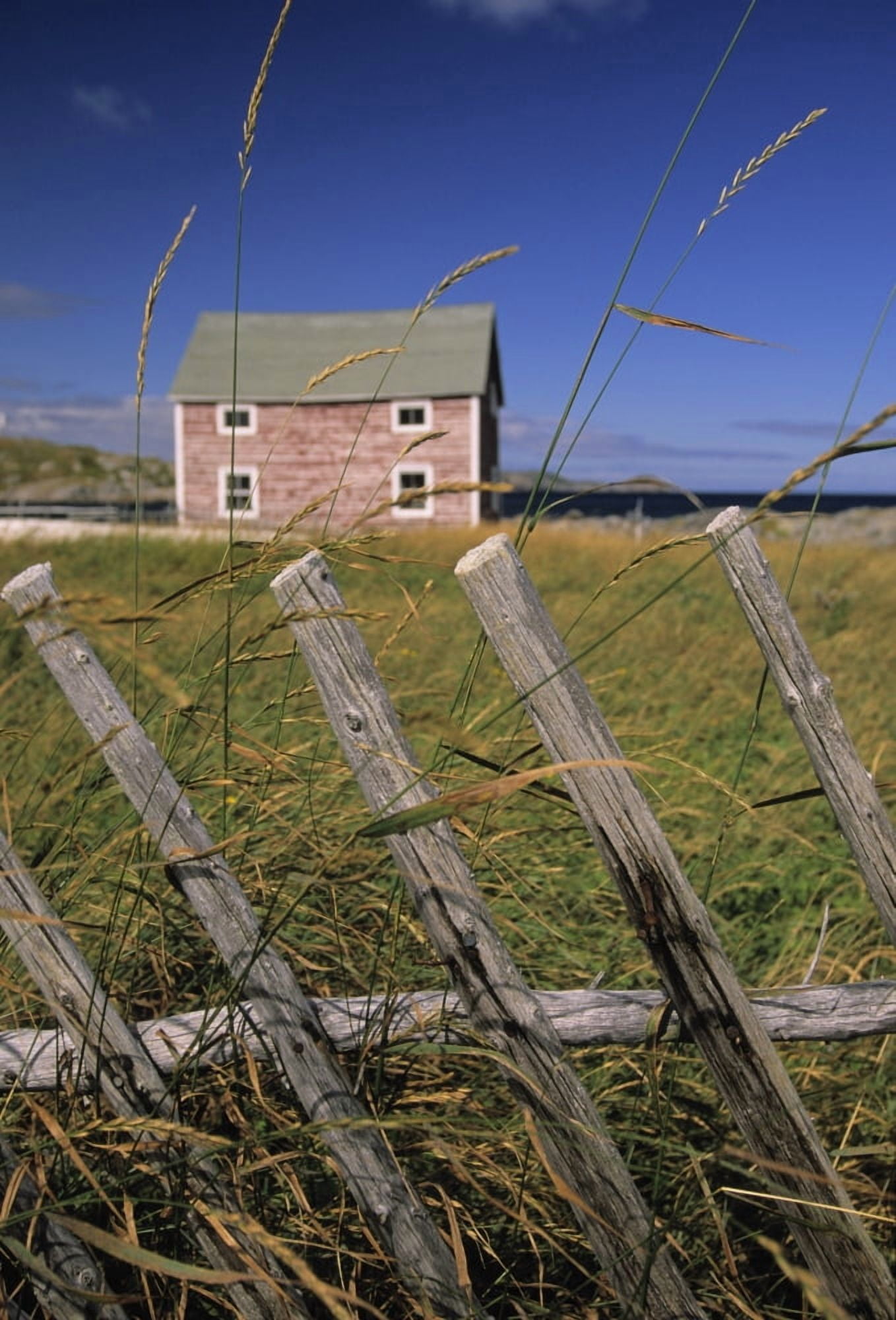 Out Buildings Fogo Island Tilting Newfoundland & Labrador Canvas Art - Ron Watts Design Pics (11 x 17)