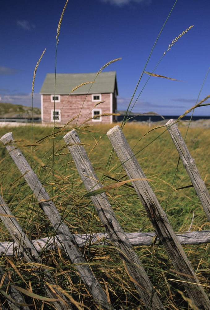 Out Buildings Fogo Island Tilting Newfoundland & Labrador Canvas Art - Ron Watts Design Pics (22 x 34)